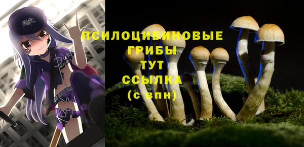 дмт Балабаново