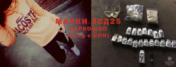 ПСИЛОЦИБИНОВЫЕ ГРИБЫ Баксан